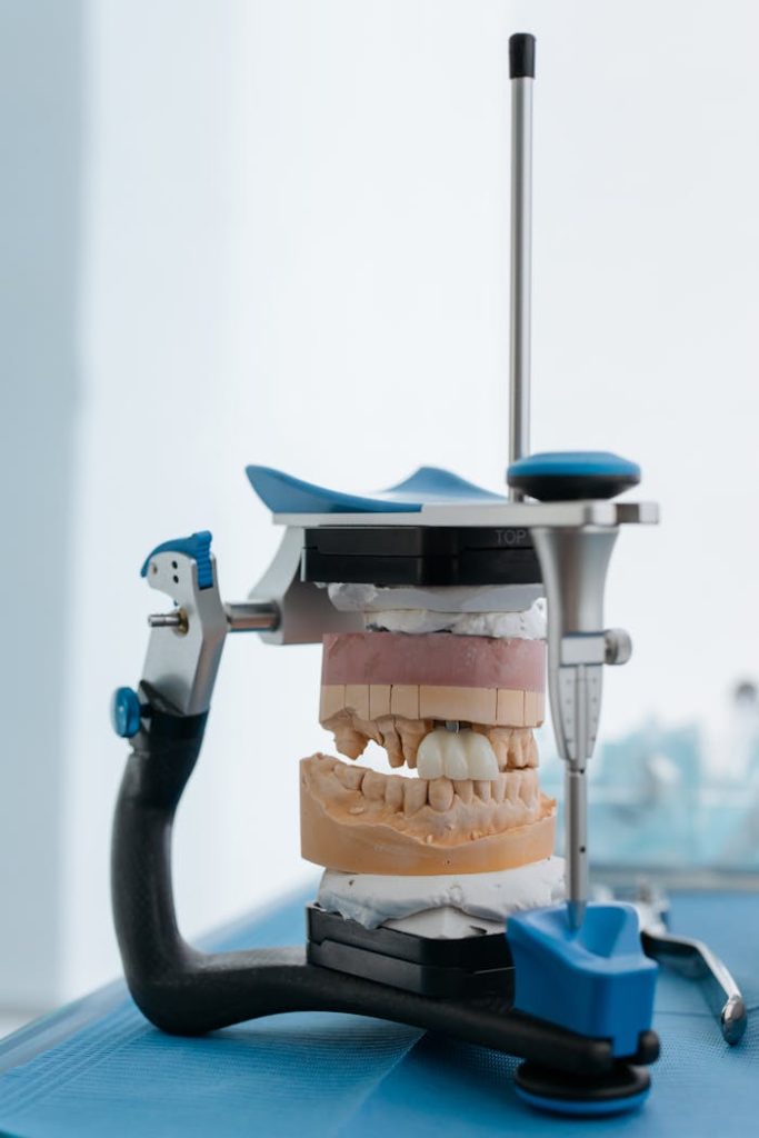 Detailed dental articulator with teeth model for orthodontic analysis.